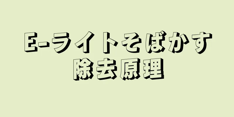 E-ライトそばかす除去原理