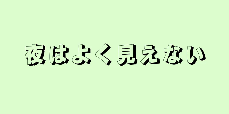 夜はよく見えない