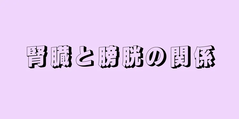 腎臓と膀胱の関係