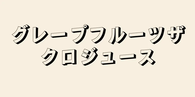 グレープフルーツザクロジュース