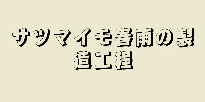 サツマイモ春雨の製造工程