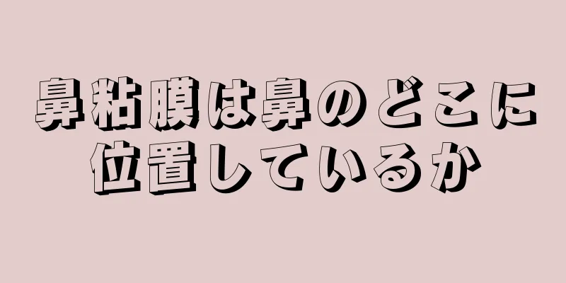 鼻粘膜は鼻のどこに位置しているか