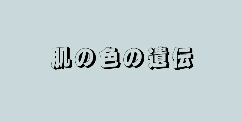 肌の色の遺伝