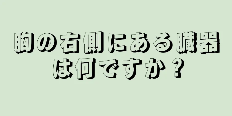 胸の右側にある臓器は何ですか？