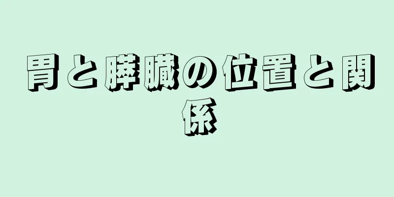 胃と膵臓の位置と関係