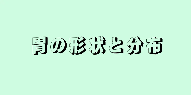 胃の形状と分布