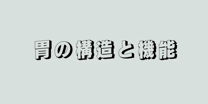 胃の構造と機能