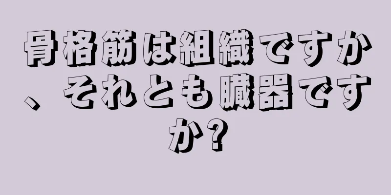 骨格筋は組織ですか、それとも臓器ですか?