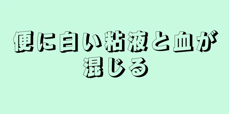 便に白い粘液と血が混じる