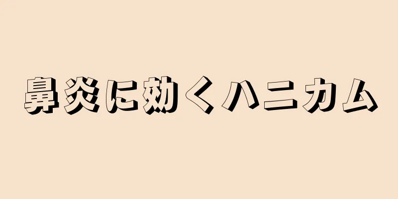 鼻炎に効くハニカム