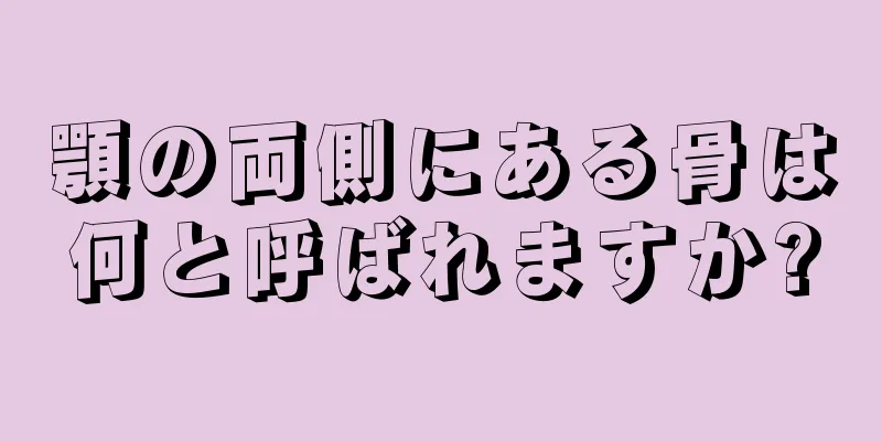 顎の両側にある骨は何と呼ばれますか?