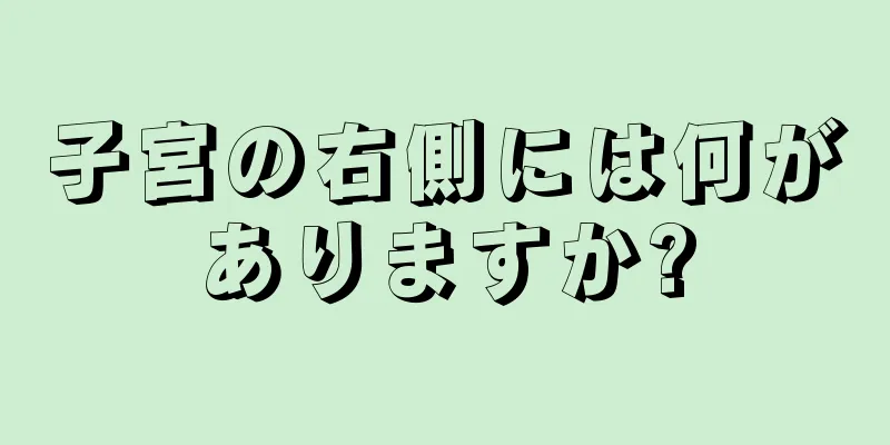 子宮の右側には何がありますか?