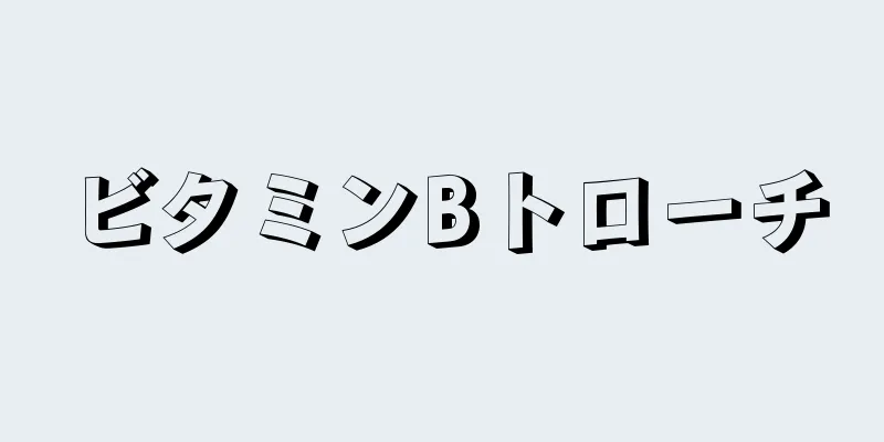 ビタミンBトローチ