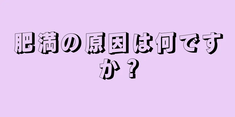 肥満の原因は何ですか？