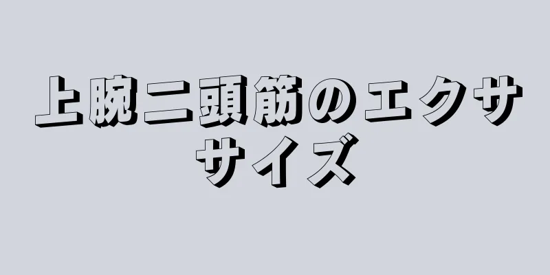 上腕二頭筋のエクササイズ