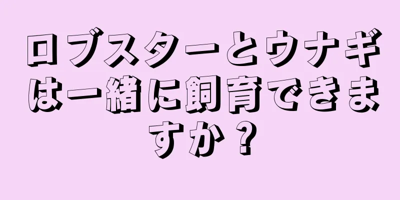 ロブスターとウナギは一緒に飼育できますか？