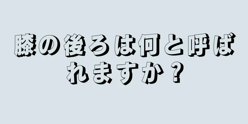 膝の後ろは何と呼ばれますか？