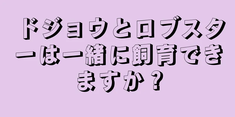 ドジョウとロブスターは一緒に飼育できますか？