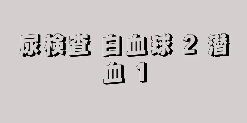 尿検査 白血球 2 潜血 1