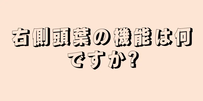 右側頭葉の機能は何ですか?