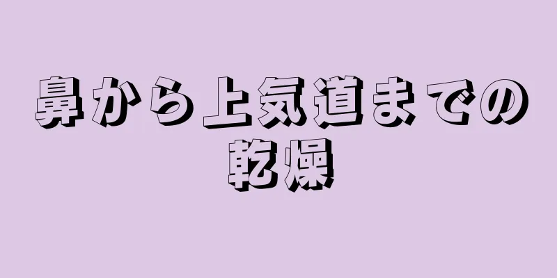 鼻から上気道までの乾燥