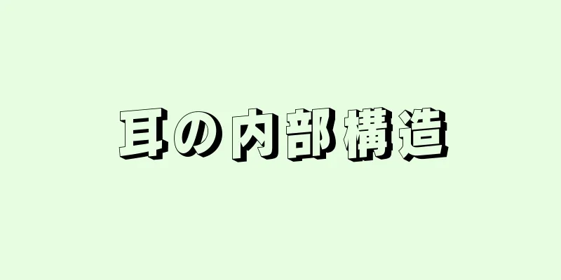 耳の内部構造