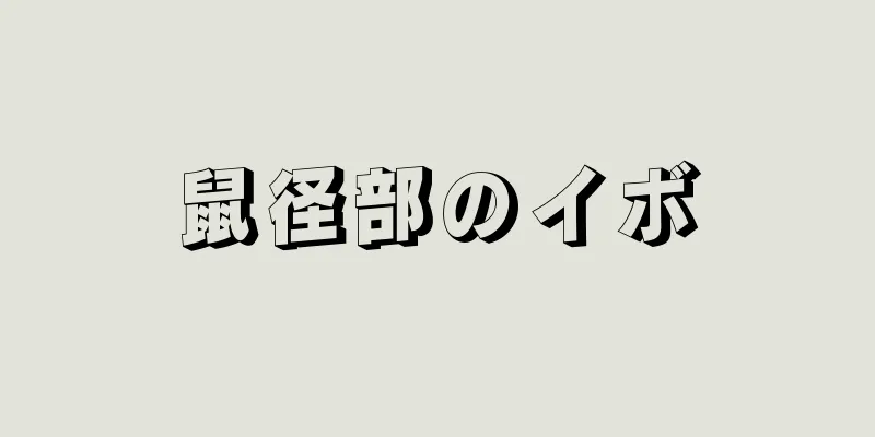 鼠径部のイボ