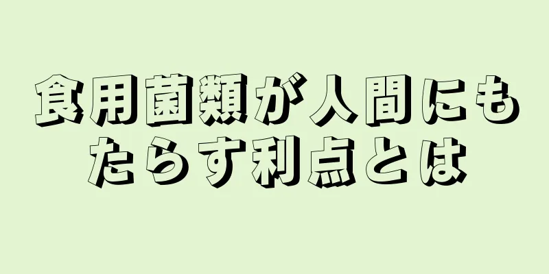 食用菌類が人間にもたらす利点とは