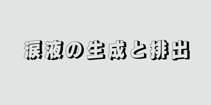 涙液の生成と排出