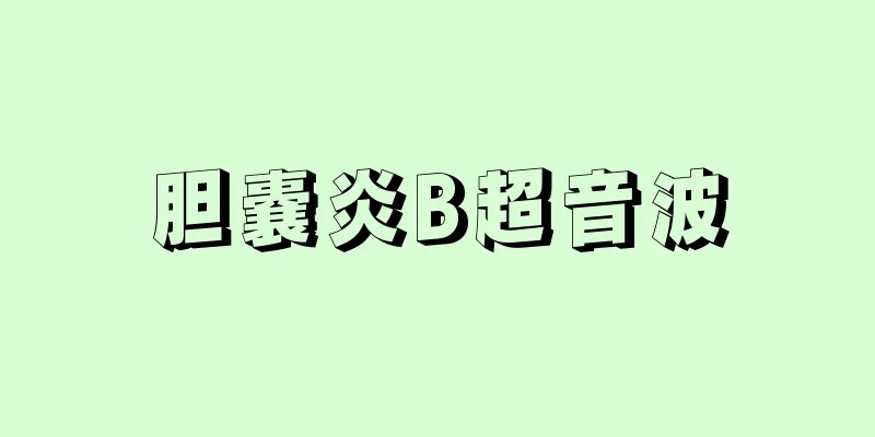 胆嚢炎B超音波