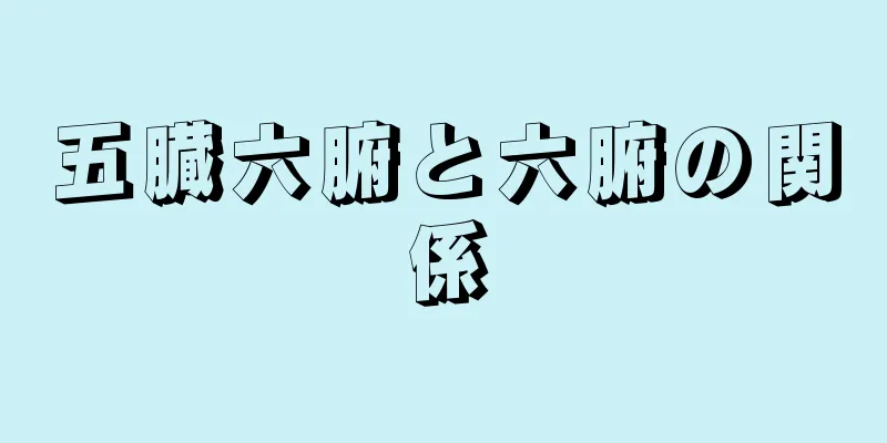 五臓六腑と六腑の関係