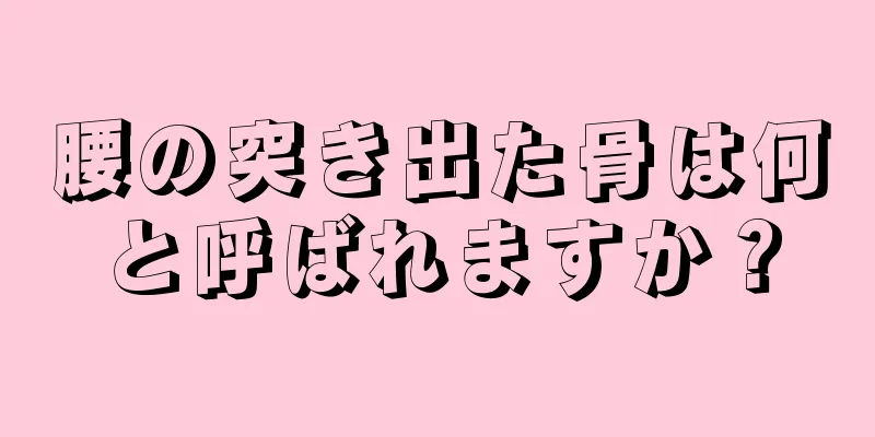 腰の突き出た骨は何と呼ばれますか？