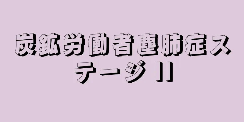 炭鉱労働者塵肺症ステージ II