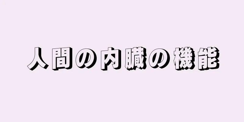 人間の内臓の機能