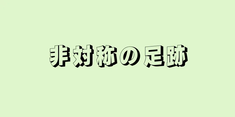 非対称の足跡