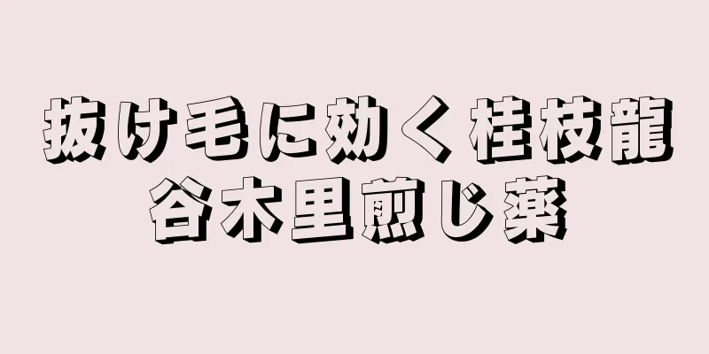 抜け毛に効く桂枝龍谷木里煎じ薬