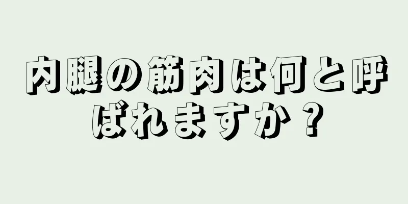 内腿の筋肉は何と呼ばれますか？