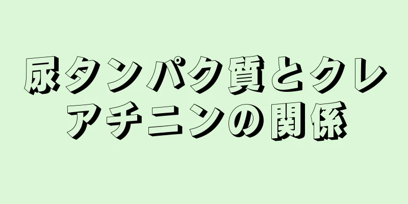 尿タンパク質とクレアチニンの関係