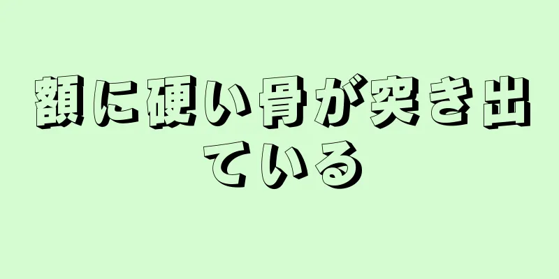 額に硬い骨が突き出ている