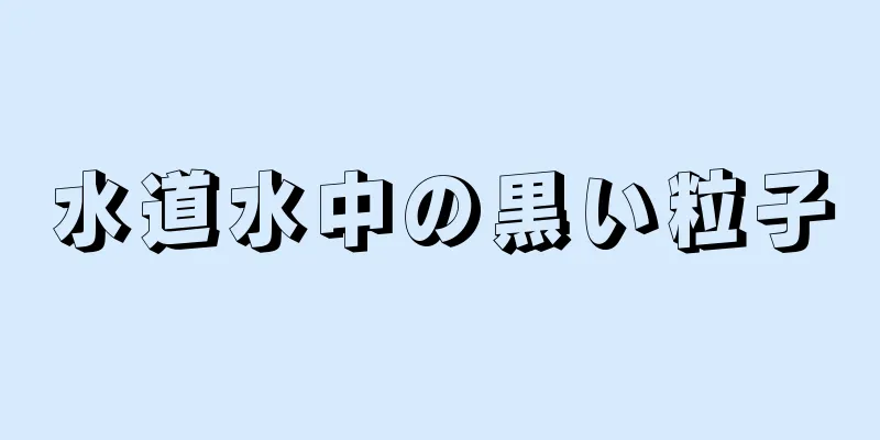 水道水中の黒い粒子