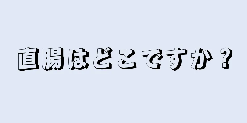 直腸はどこですか？