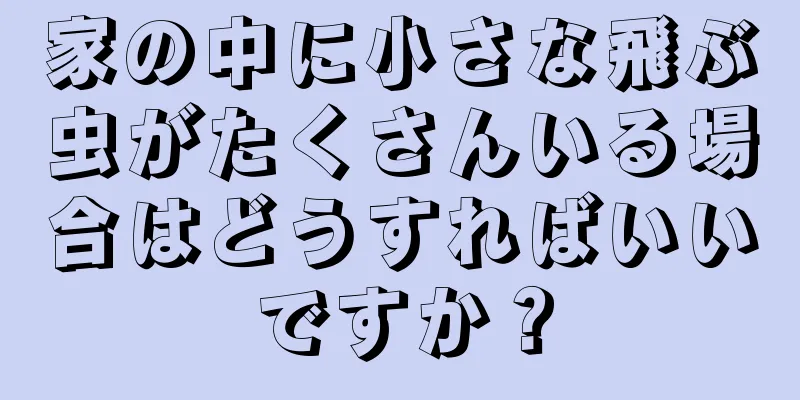 家の中に小さな飛ぶ虫がたくさんいる場合はどうすればいいですか？