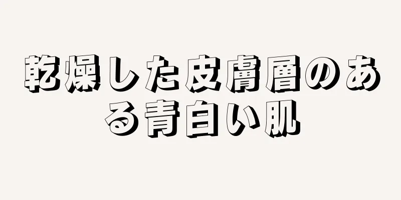 乾燥した皮膚層のある青白い肌