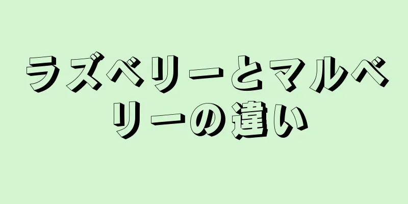 ラズベリーとマルベリーの違い