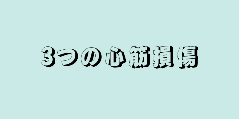 3つの心筋損傷