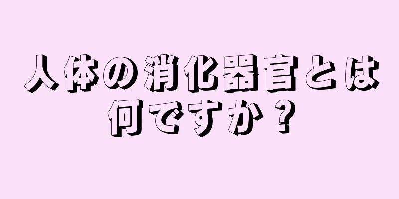 人体の消化器官とは何ですか？