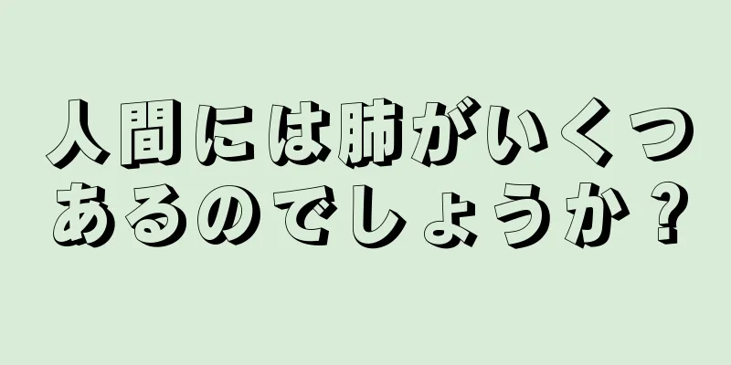 人間には肺がいくつあるのでしょうか？