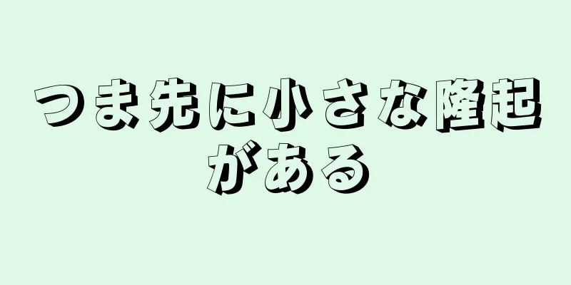 つま先に小さな隆起がある