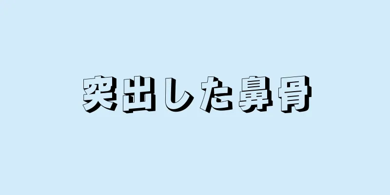 突出した鼻骨