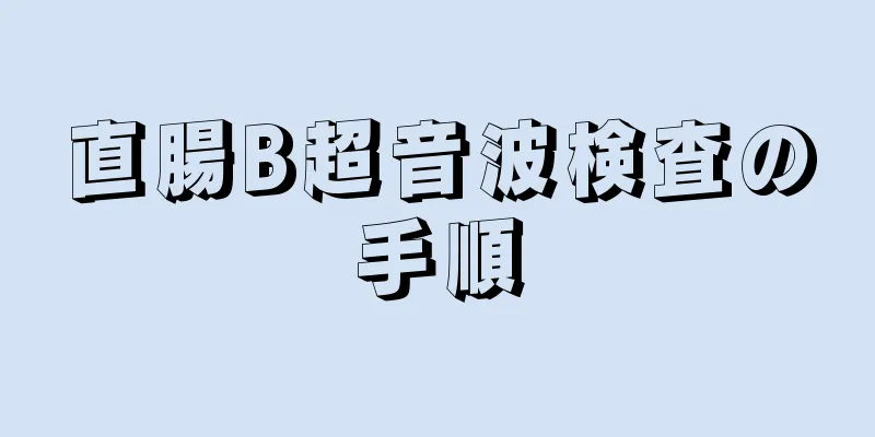 直腸B超音波検査の手順